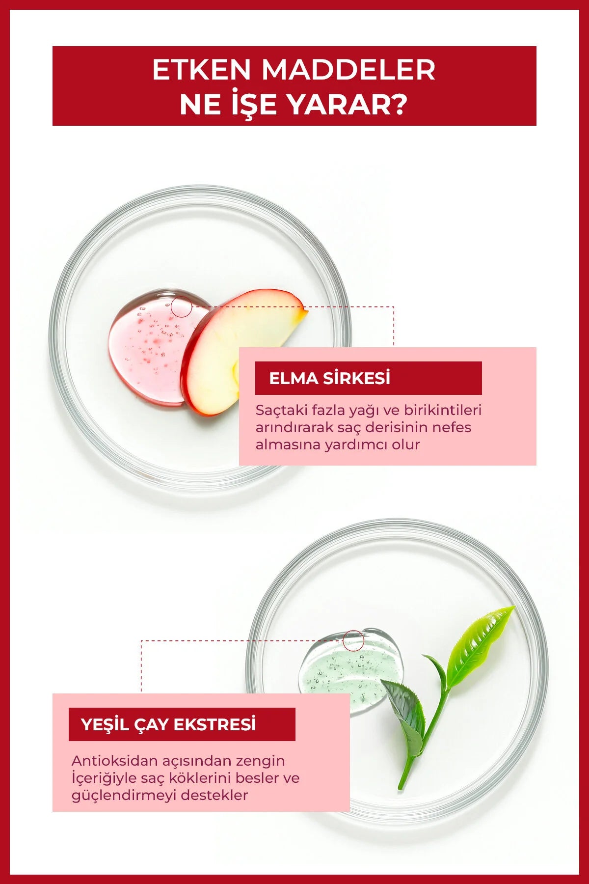 Enzym Cosmetics Elma Sirkesi & Yeşil Çay Saç Toniği 200 ml