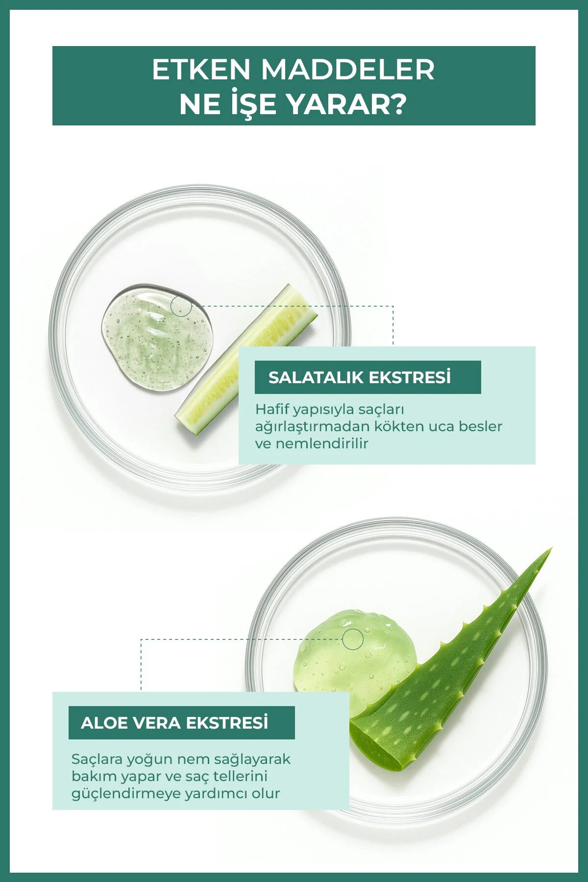 Enzym Cosmetics Aloe Vera & Salatalık Saç Toniği 200 ml